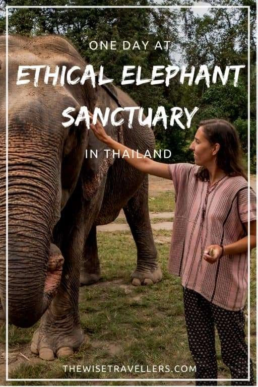 Ethical Elephant Sanctuary in Thailand Pinterest