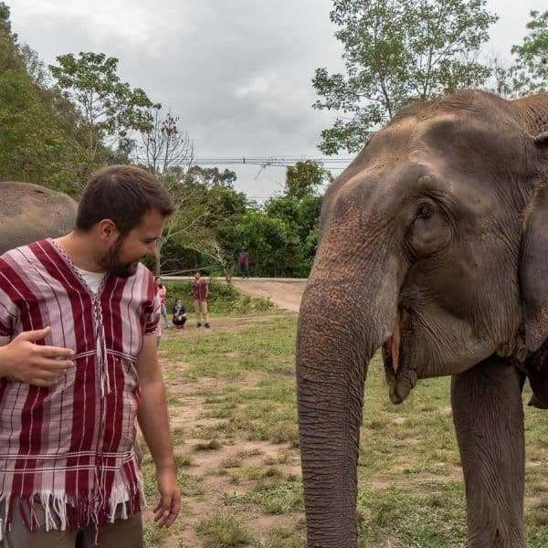 One Day at Ethical Elephant Sanctuary In Thailand elephant tiago