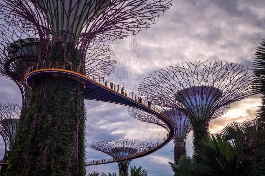 singapore-travel-itinerary supertree grove