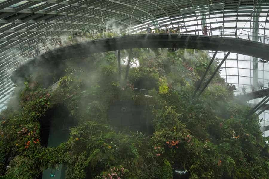 singapore-travel-itinerary cloud forest
